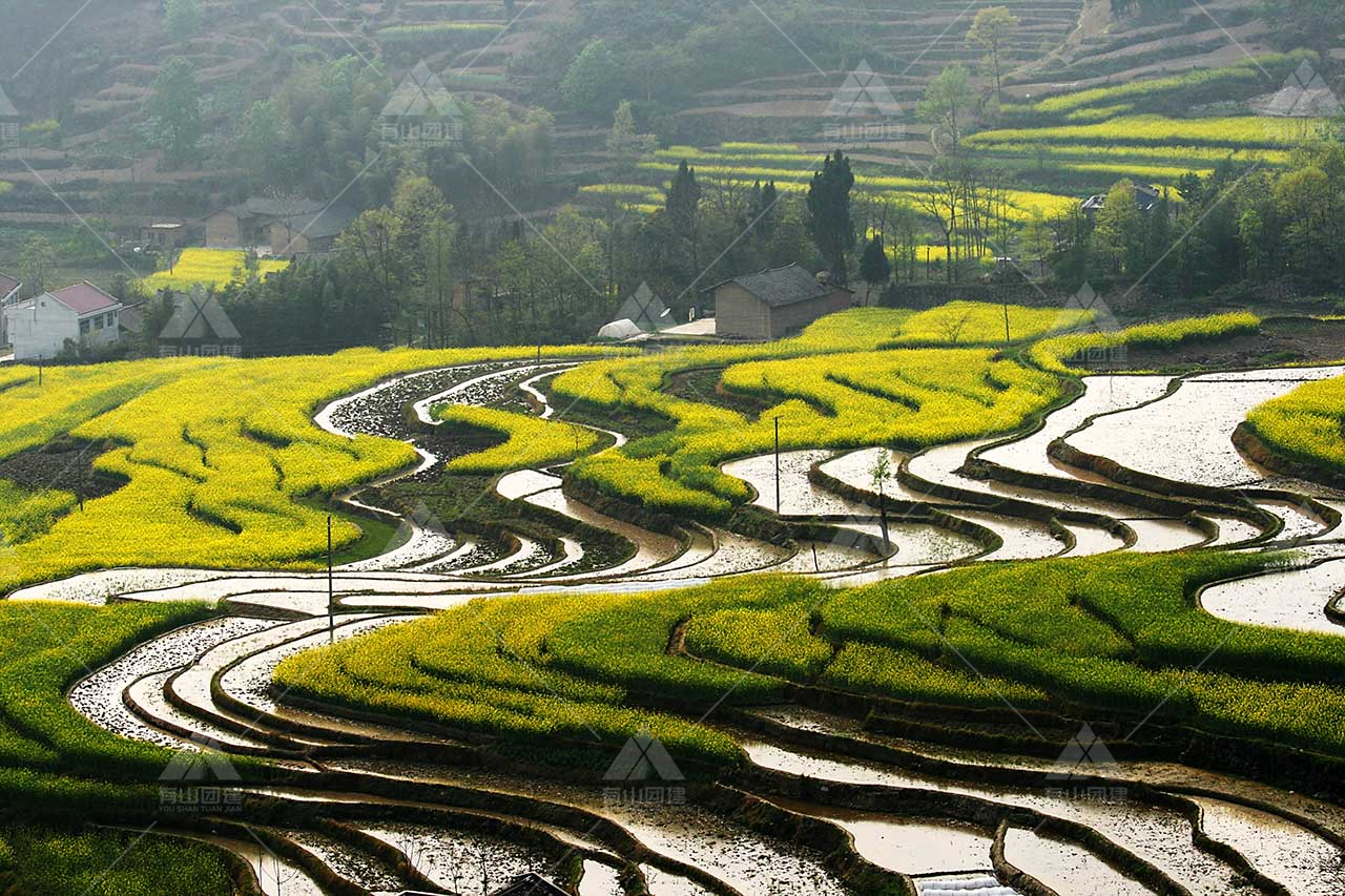 A scenic view of Ankang Fengyan Terraced Fields