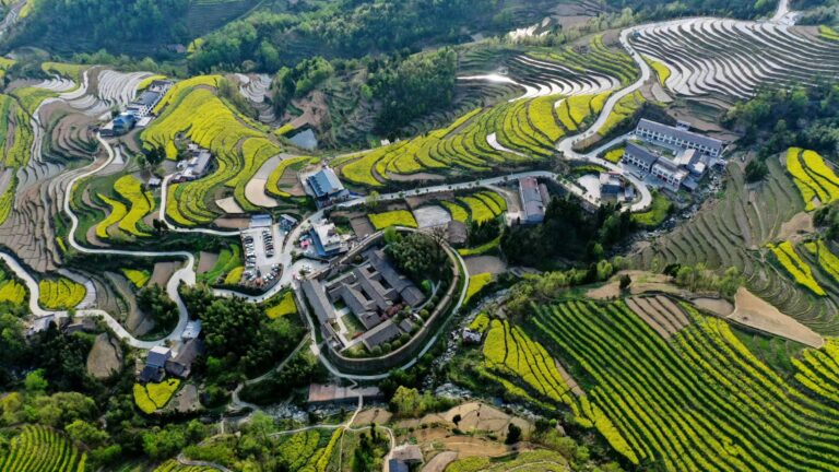 A Travel Guide to Ankang Fengyan Terraced Fields: Nature’s Masterpiece in Shaanxi