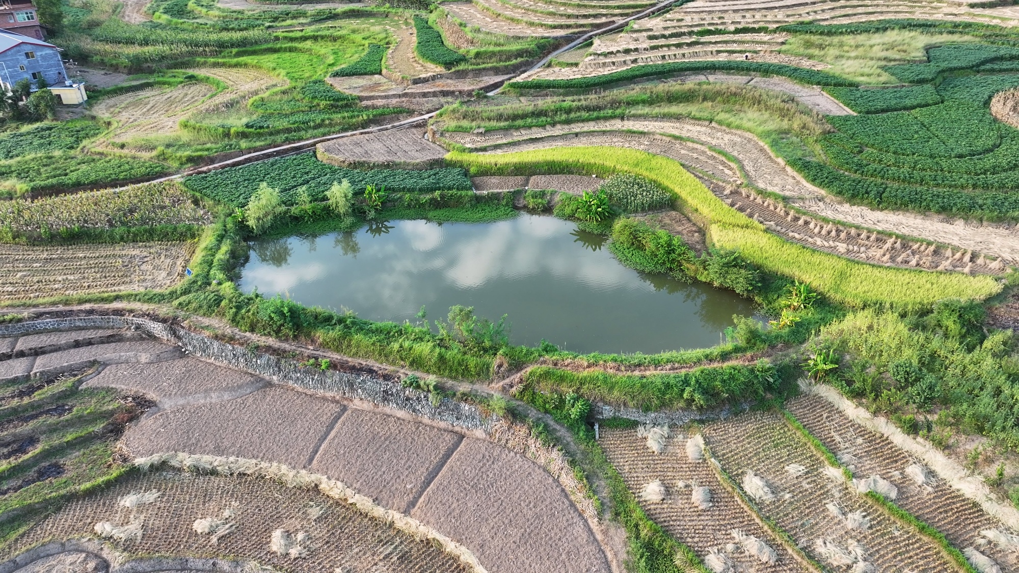 A scenic view of Ankang Fengyan Terraced Fields