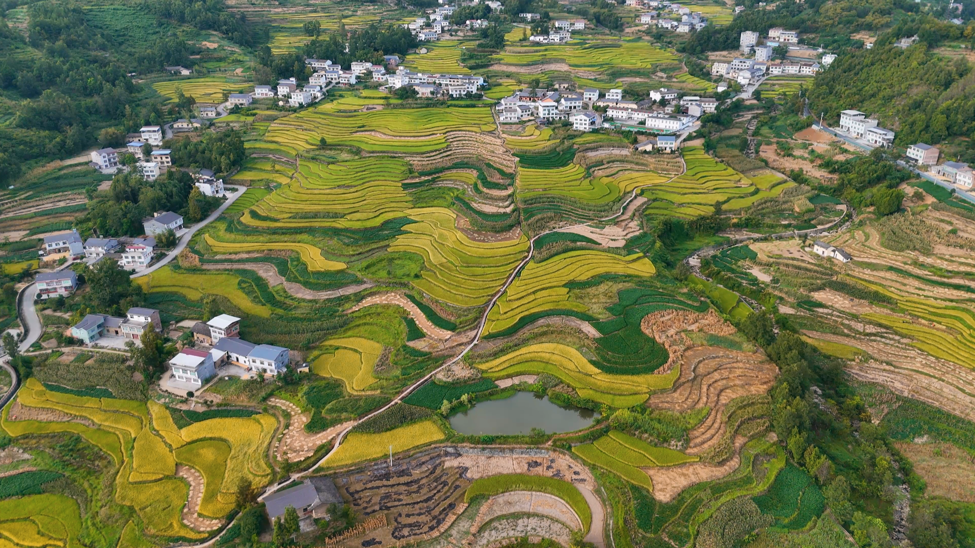 A scenic view of Ankang Fengyan Terraced Fields