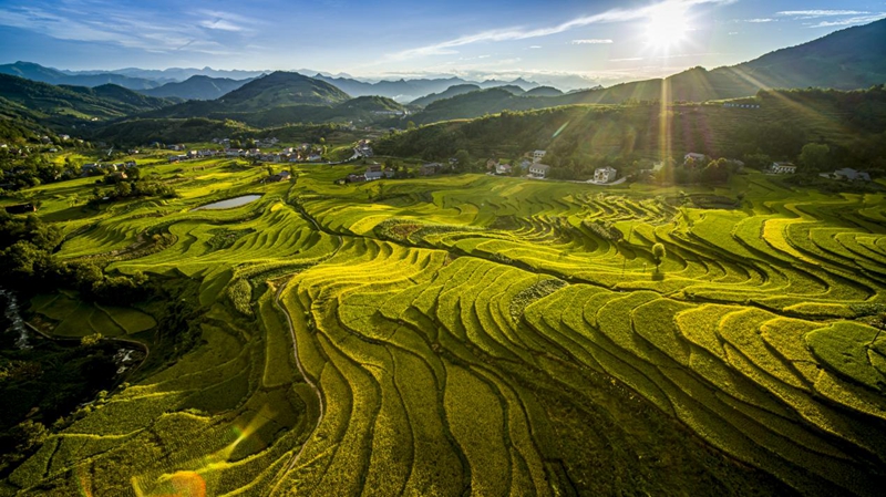 A scenic view of Ankang Fengyan Terraced Fields