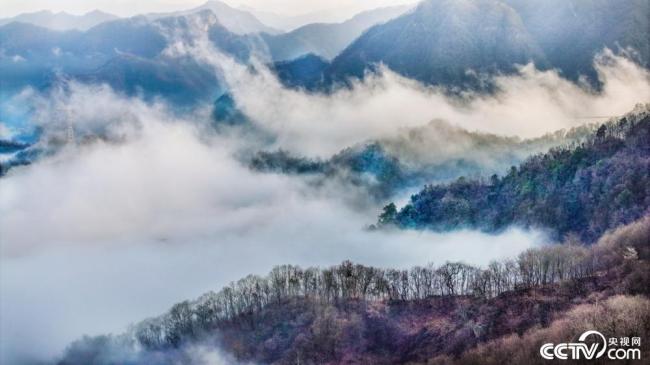 A scenic view of Ankang Liujiaying Site