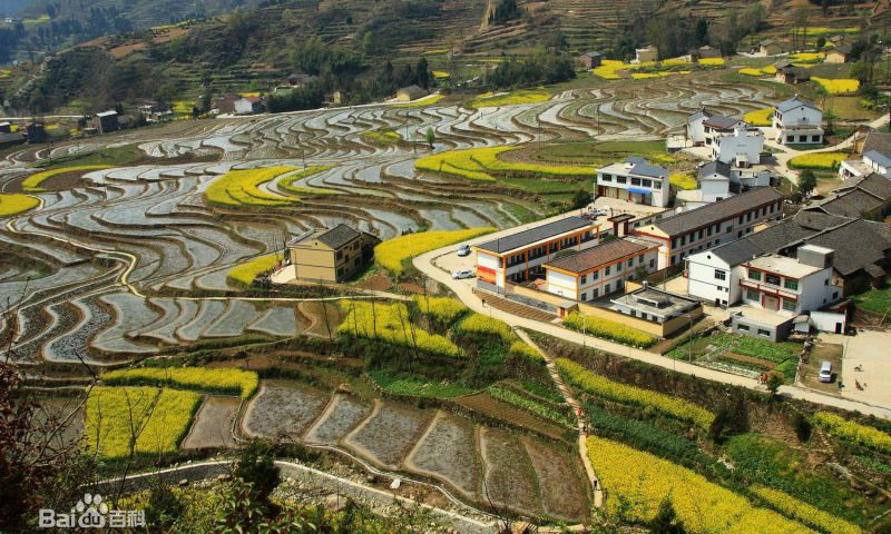A scenic view of Ankang Liujiaying Site