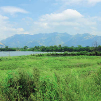 A scenic view of Anqing Zhangsidun Yizhi