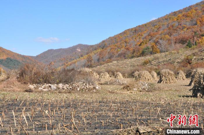 A scenic view of Anshan Wolongshan Shancheng Yizhi