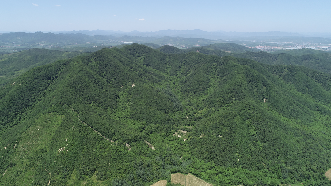 A scenic view of Anshan Wolongshan Shancheng Yizhi