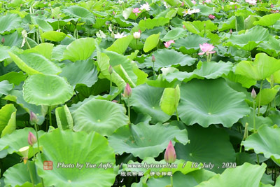 A scenic view of Anshun Sanxian Guizhou Jianjiji Zongzhuangchang Jiuzhi