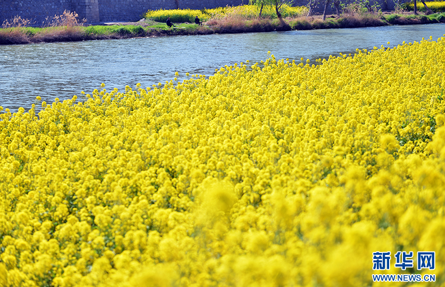 A scenic view of Anyang Dayunhe Huaxianduan