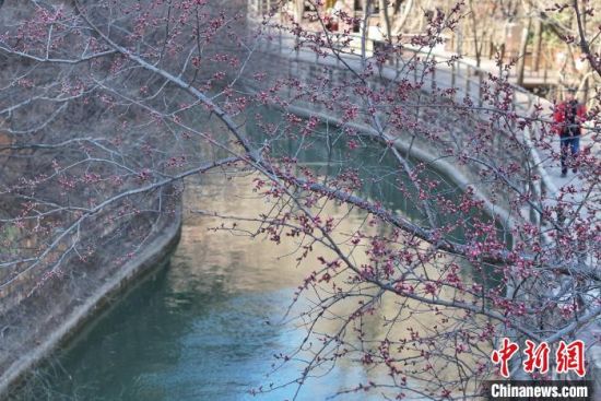 A scenic view of Anyang Hongqiqu