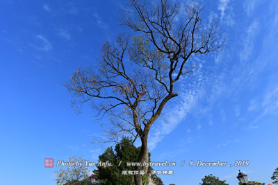 A scenic view of Anyang Huaxianxianweixianzhengfuzaoqijianzhu