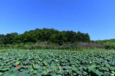 A scenic view of Aral Yuergun Junken Jiuzhi