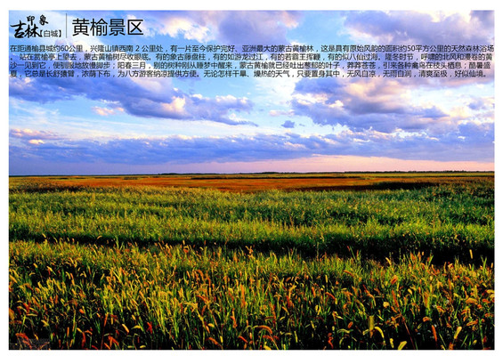 A scenic view of Baicheng Hanshu Yizhi