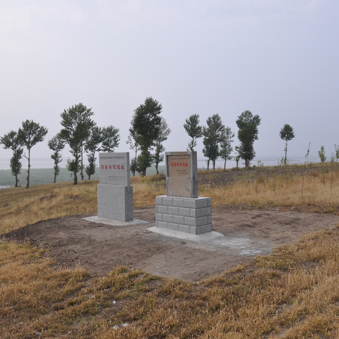 A scenic view of Baicheng Houtaomuga Yizhi