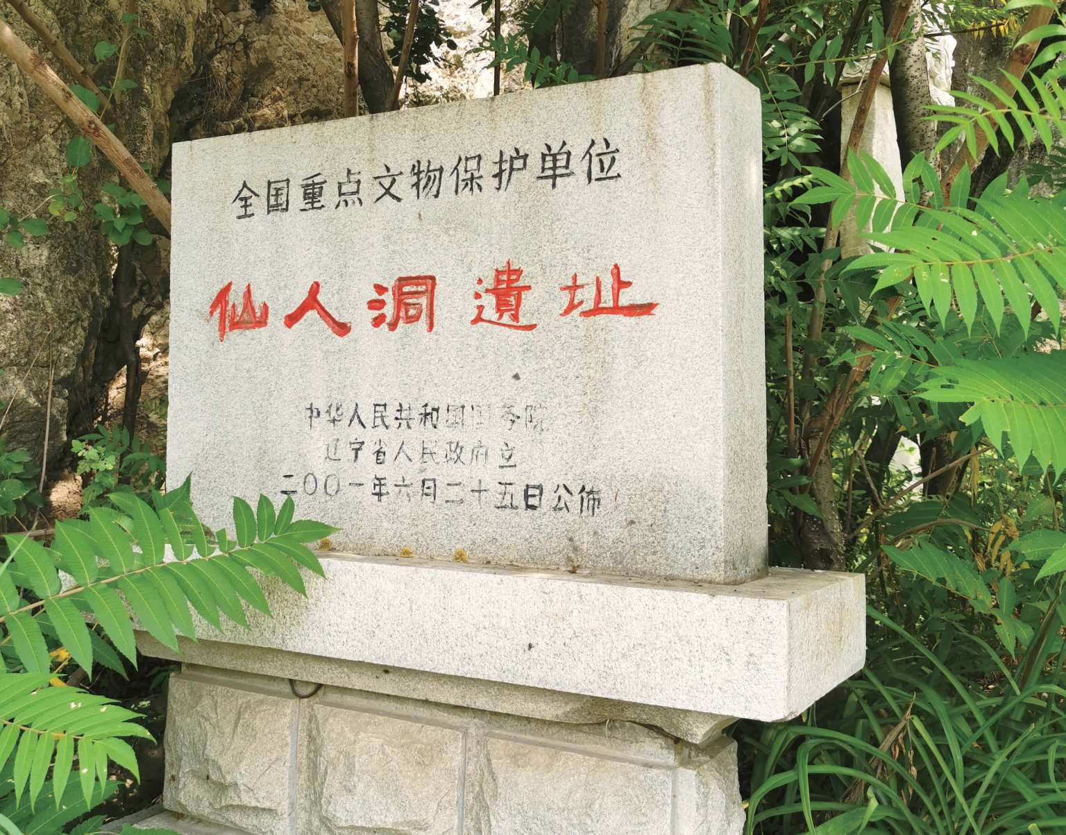 A scenic view of Baicheng Houtaomuga Yizhi