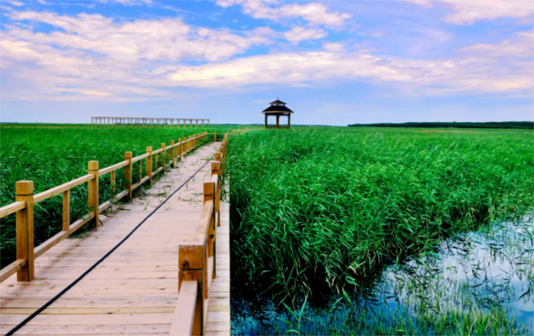A scenic view of Baicheng Houtaomuga Yizhi