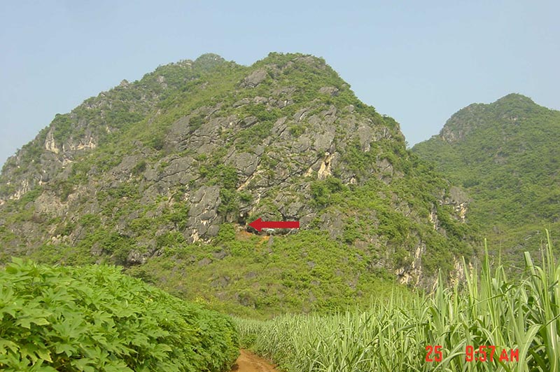 A scenic view of Baise Bubing Pendi Dongxue Yizhiqun