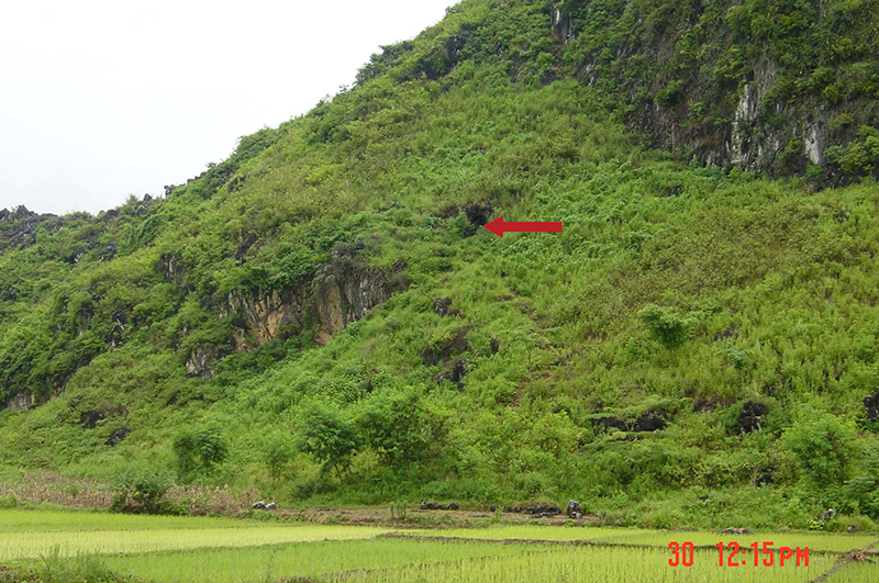 A scenic view of Baise Bubing Pendi Dongxue Yizhiqun