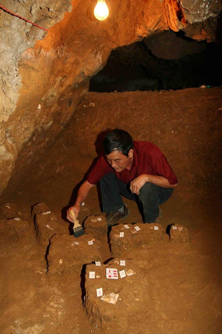 Baise Bubing Pendi Dongxue Yizhiqun: An Enchanting Winter Wonderland in Guangxi