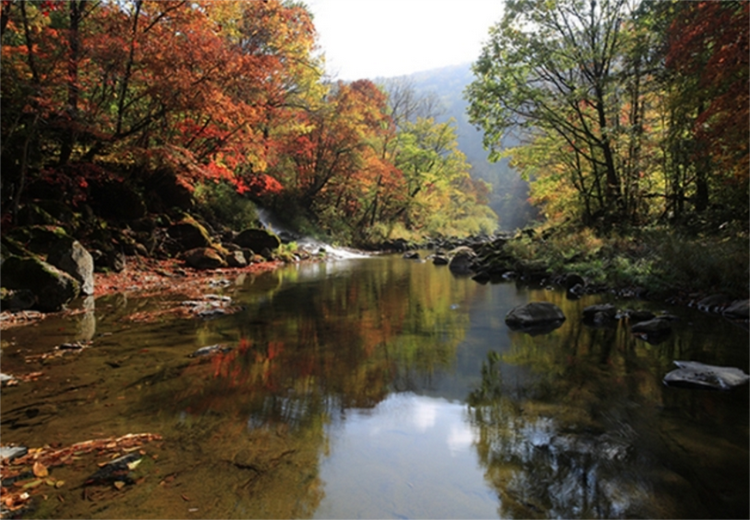 A scenic view of Baishan Gangouzi Muqun