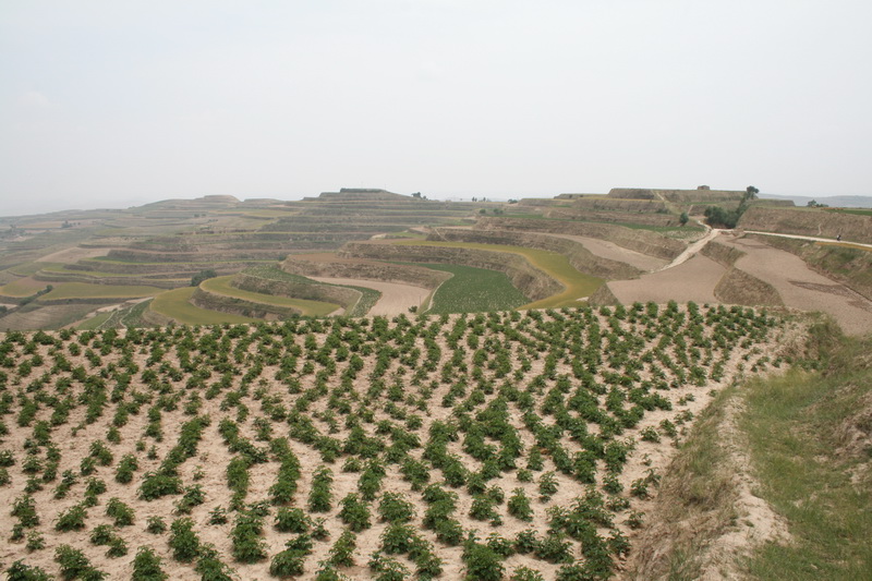 A scenic view of Baiyin Niumendong Yizhi