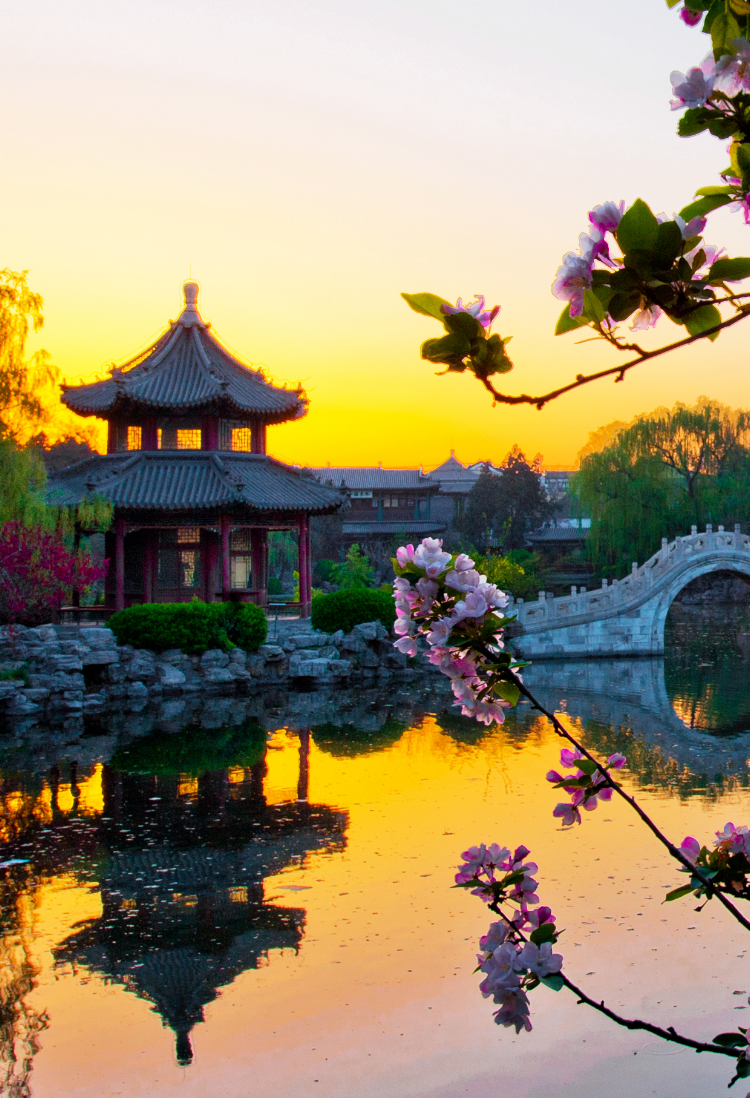 A scenic view of Baoding Ancient Lotus Pond