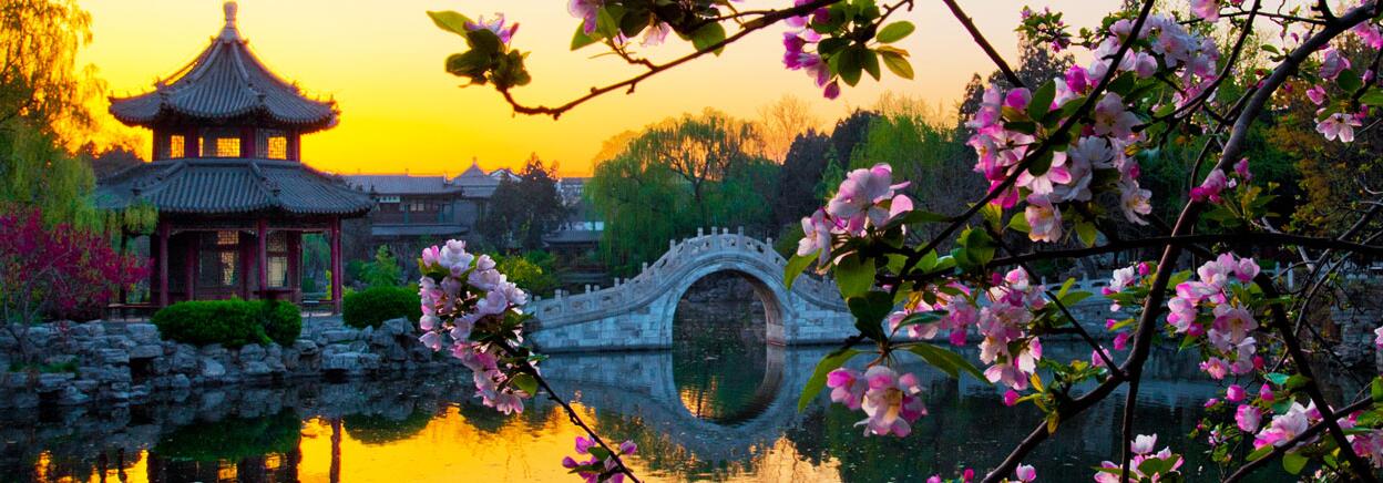 A scenic view of Baoding Ancient Lotus Pond