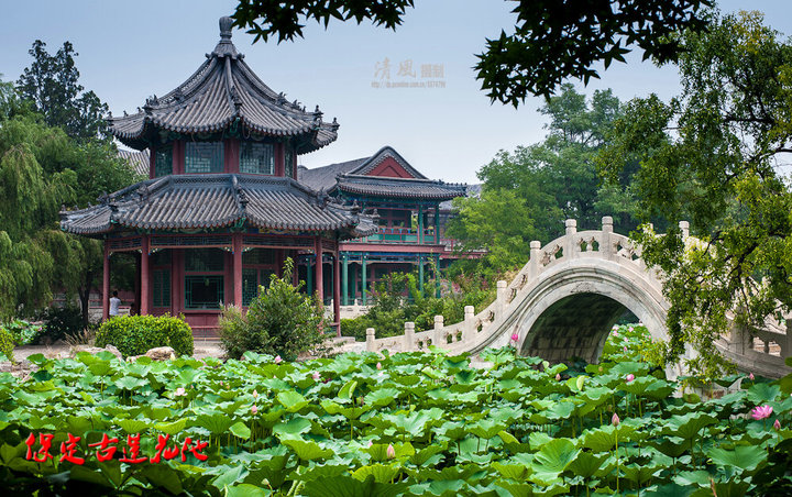 A scenic view of Baoding Ancient Lotus Pond
