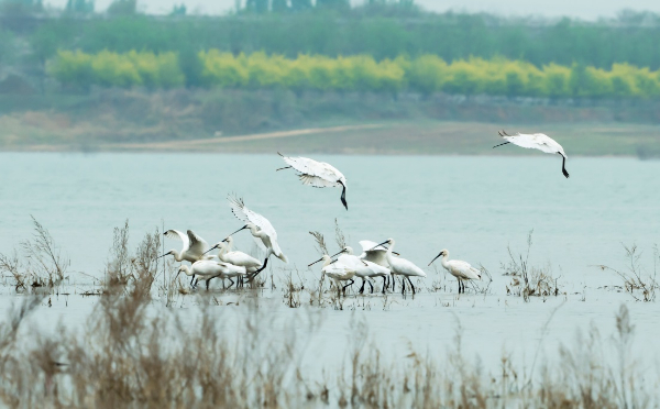 A scenic view of Baoding Beifangshui Site