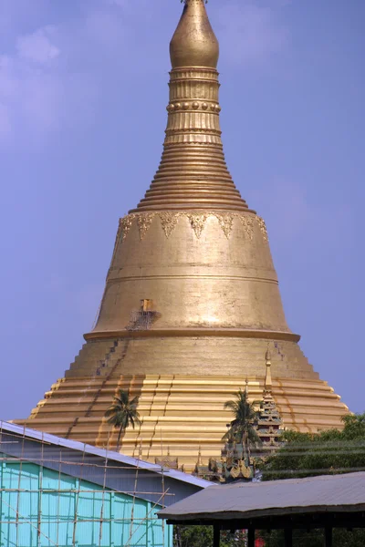 A scenic view of Baoding Jinshan Temple Relic Pagoda