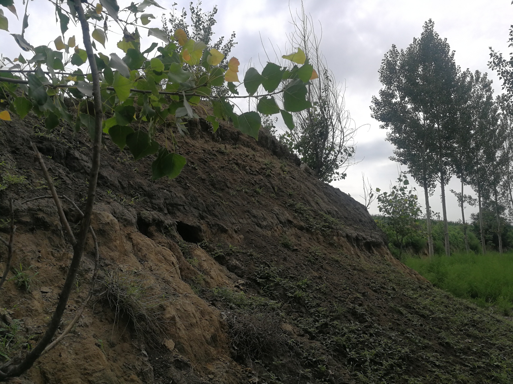 A scenic view of Baoding Nanzhuangtou Site