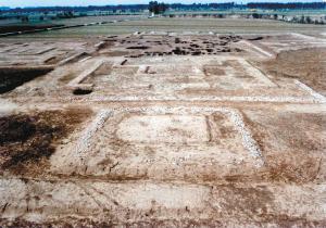 A scenic view of Baoji Qin Yongcheng Site