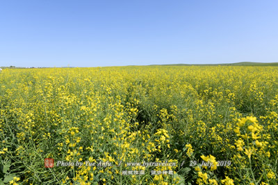 A scenic view of Baoji Sunjianantou Granary Site