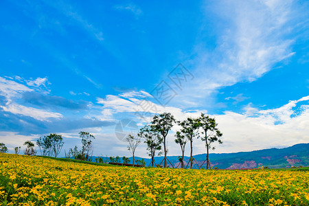 A scenic view of Baoshan Yuhuangge