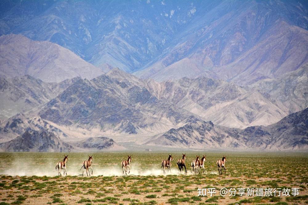 A scenic view of Bayingolin Bogedaqin Gucheng Yizhi