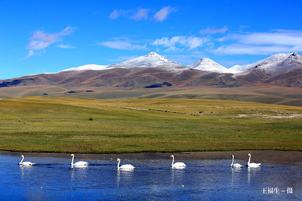 A scenic view of Bayingolin Bogedaqin Gucheng Yizhi