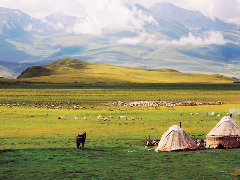 Exploring the Mystical Beauty of Bayingolin Huola Shan Fosi Yizhi in Xinjiang