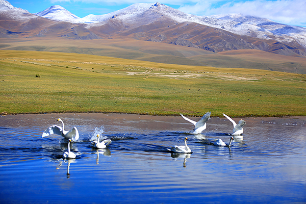 A scenic view of Bayingolin Kongquehe Fengsuiqun