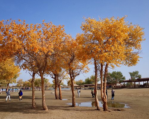 A scenic view of Bayingolin Manhan Wangfu