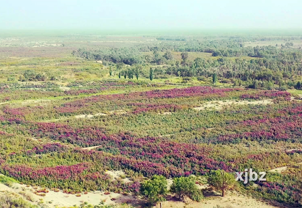 A scenic view of Bayingolin Manhan Wangfu
