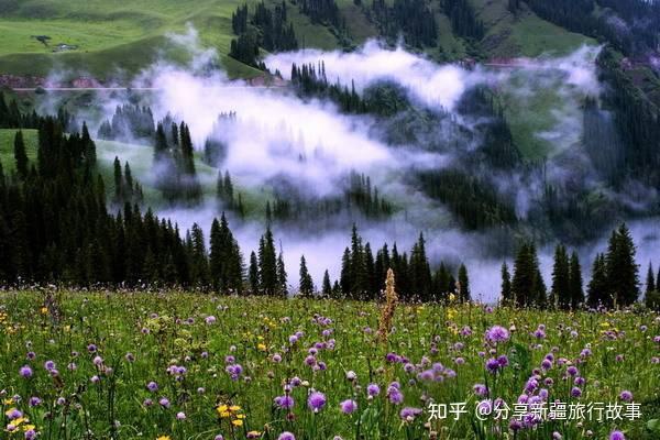 A scenic view of Bayingolin Yingpan Gucheng Ji Gumuqun