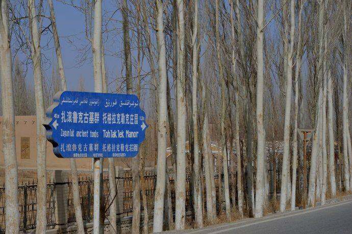 A scenic view of Bayingolin Zhagunluke Gumuqun