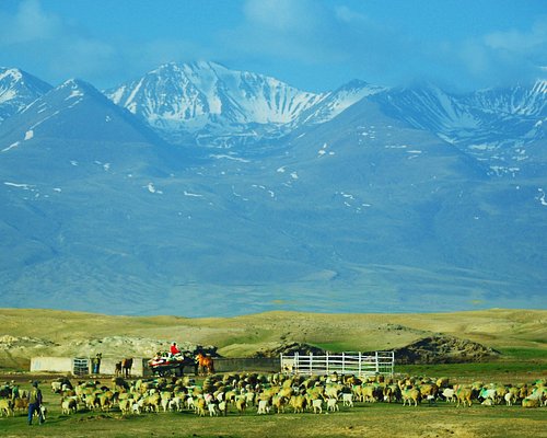 A scenic view of Bayingolin Zhuoerkute Gucheng Yizhi