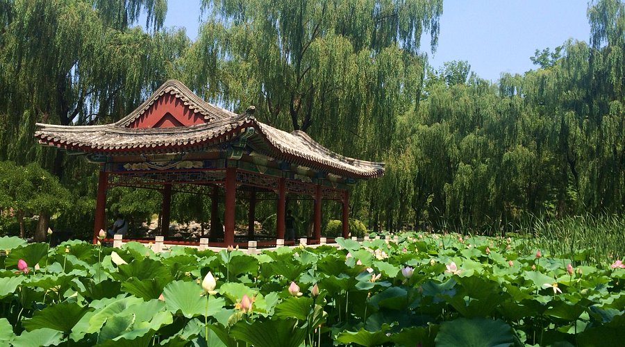 A scenic view of Beijing Chaoyang Ritan