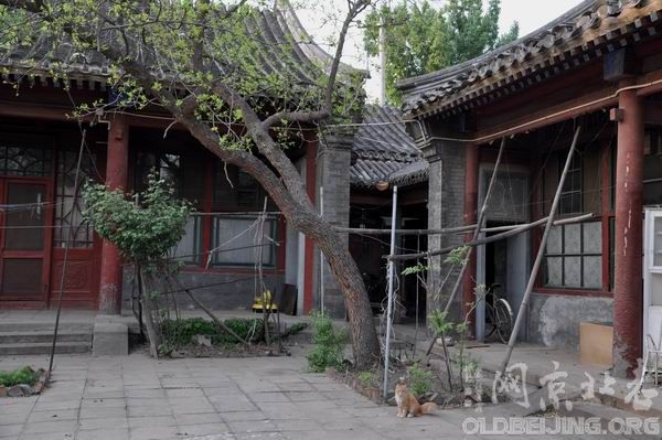 A scenic view of Beijing Dongcheng Chongli Zhuzhai