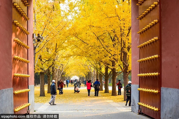 A scenic view of Beijing Dongcheng Ditan