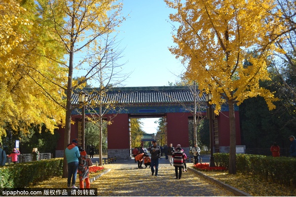A scenic view of Beijing Dongcheng Ditan