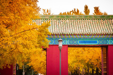 A scenic view of Beijing Dongcheng Ditan