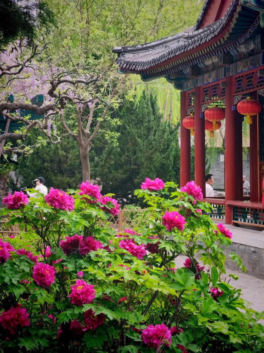 A scenic view of Beijing Dongcheng Keyuan