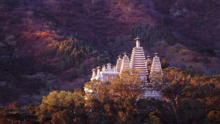 A Traveler’s Guide to Biyunsi: Discovering Haidian’s Hidden Gem