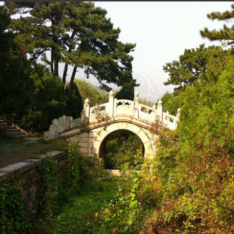 A scenic view of Beijing Haidian Chunqinwang Mu